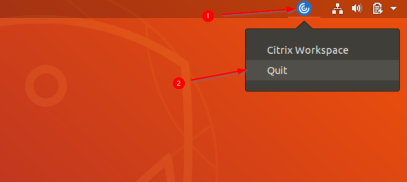 Bestand:CitrixLinuxUbuntu20.png
